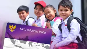 Kenapa PIP Tidak Cair Padahal Sudah Terdaftar
