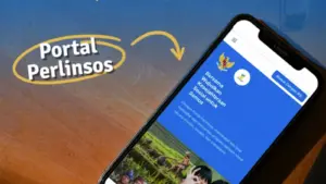 Link Daftar Perlinsos Kemensos 2026 untuk Ajukan Bansos Mandiri